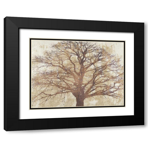 Sacred Oak Black Modern Wood Framed Art Print with Double Matting by Aprile, Alessio