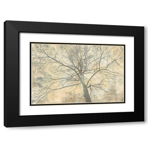 Below My Tree II Black Modern Wood Framed Art Print with Double Matting by Aprile, Alessio