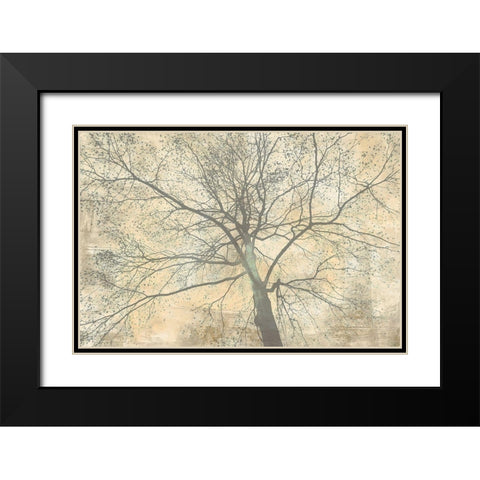 Below My Tree II Black Modern Wood Framed Art Print with Double Matting by Aprile, Alessio