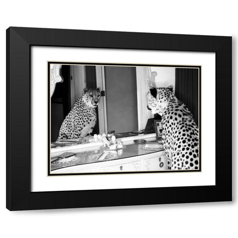 Cheetah looking in mirror Black Modern Wood Framed Art Print with Double Matting by Rian, Emma