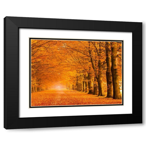 Woods in autumn Black Modern Wood Framed Art Print with Double Matting by Pangea Images
