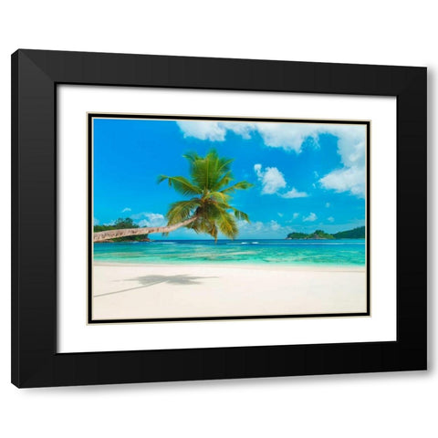Tropical beach, Seychelles (detail) Black Modern Wood Framed Art Print with Double Matting by Anonymous