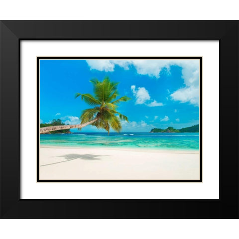 Tropical beach, Seychelles (detail) Black Modern Wood Framed Art Print with Double Matting by Anonymous