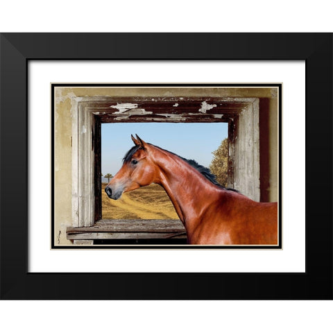 Arab King Black Modern Wood Framed Art Print with Double Matting by Lauren, Julian