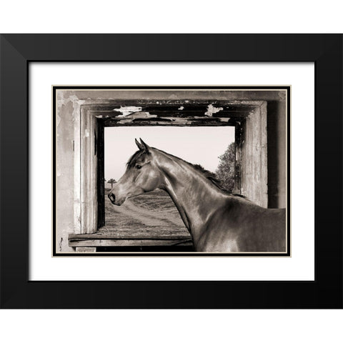 Arab King (BW) Black Modern Wood Framed Art Print with Double Matting by Lauren, Julian
