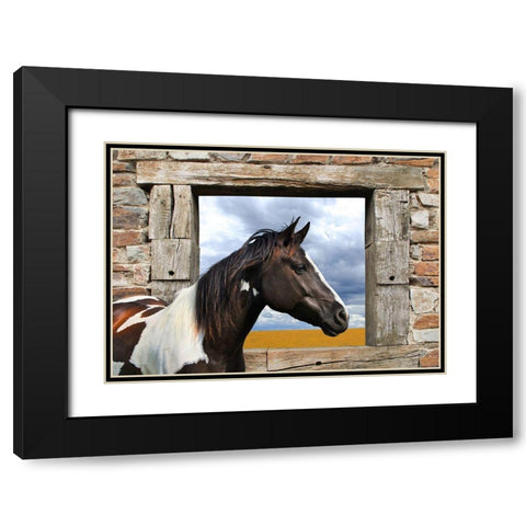 Painted Horse Black Modern Wood Framed Art Print with Double Matting by Lauren, Julian