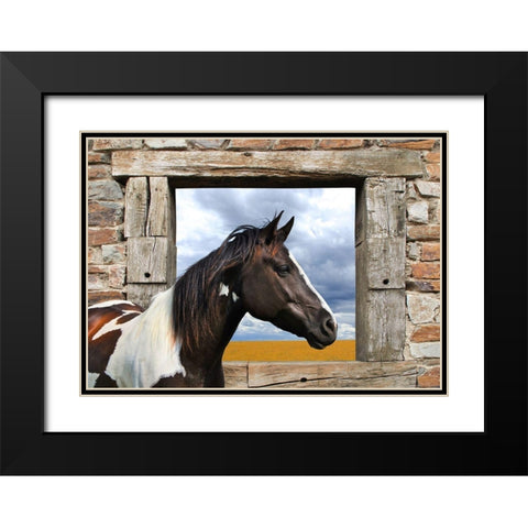 Painted Horse Black Modern Wood Framed Art Print with Double Matting by Lauren, Julian