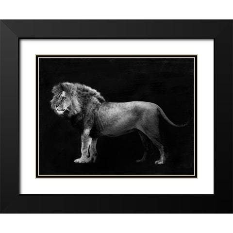 Panthera Leo Black Modern Wood Framed Art Print with Double Matting by Julian, Lauren