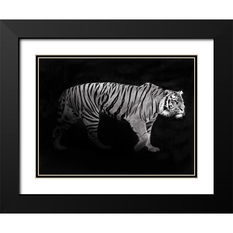 Panthera Tigris Black Modern Wood Framed Art Print with Double Matting by Julian, Lauren