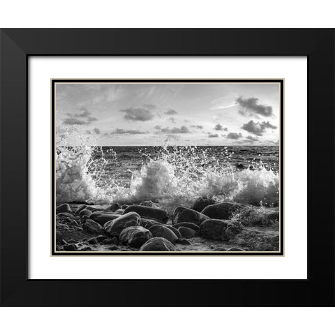 Waves crashing, Point Reyes, California (BW) Black Modern Wood Framed Art Print with Double Matting by Pangea Images