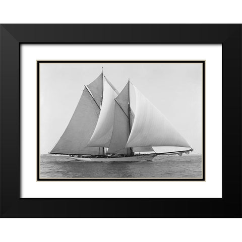 Merlin Black Modern Wood Framed Art Print with Double Matting by Anonymous