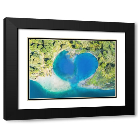 Heart Shaped Atoll-Fiji Black Modern Wood Framed Art Print with Double Matting by Pangea Images