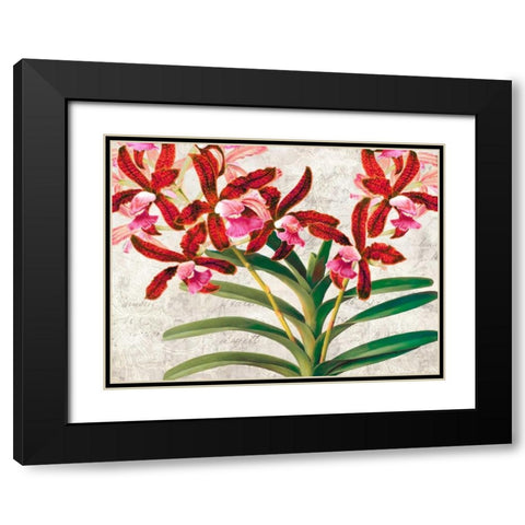 Botanique Moderne I Black Modern Wood Framed Art Print with Double Matting by Dellal, Remy