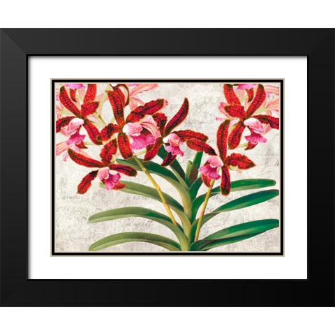 Botanique Moderne I Black Modern Wood Framed Art Print with Double Matting by Dellal, Remy