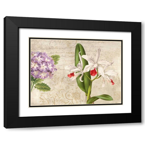 Botanique Moderne III Black Modern Wood Framed Art Print with Double Matting by Dellal, Remy