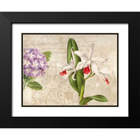 Botanique Moderne III Black Modern Wood Framed Art Print with Double Matting by Dellal, Remy