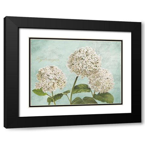 Hydrangeas I (Aqua) Black Modern Wood Framed Art Print with Double Matting by Remy, Dellal