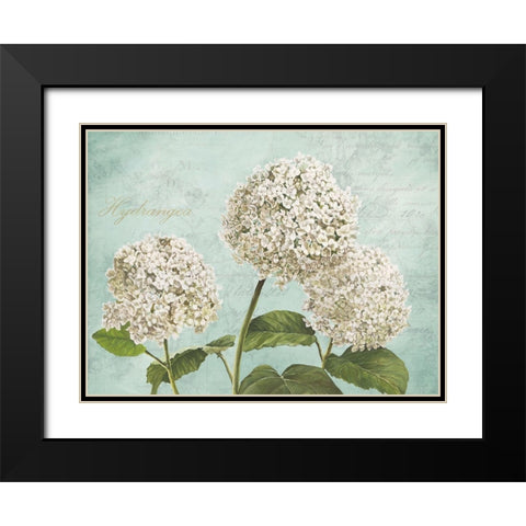 Hydrangeas I (Aqua) Black Modern Wood Framed Art Print with Double Matting by Remy, Dellal