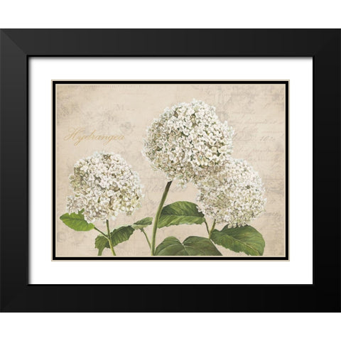 Hydrangeas I (Neutre) Black Modern Wood Framed Art Print with Double Matting by Remy, Dellal