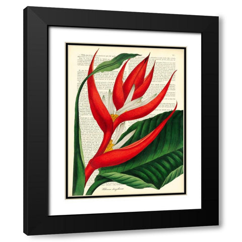 Vintage Botany I Black Modern Wood Framed Art Print with Double Matting by Dellal, Remy
