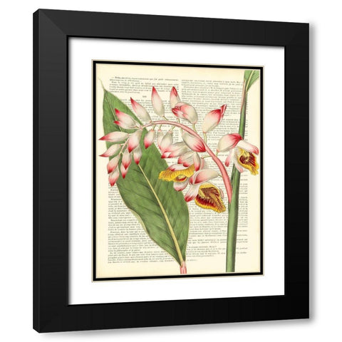 Vintage Botany II Black Modern Wood Framed Art Print with Double Matting by Dellal, Remy