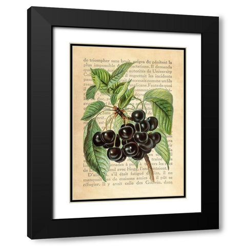 Cherries- After J. Wright Black Modern Wood Framed Art Print with Double Matting by Dellal, Remy