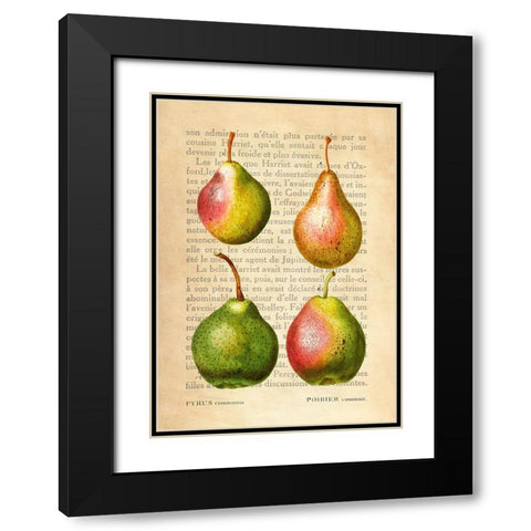 Pears- After Redoute Black Modern Wood Framed Art Print with Double Matting by Dellal, Remy