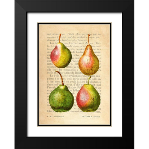 Pears- After Redoute Black Modern Wood Framed Art Print with Double Matting by Dellal, Remy