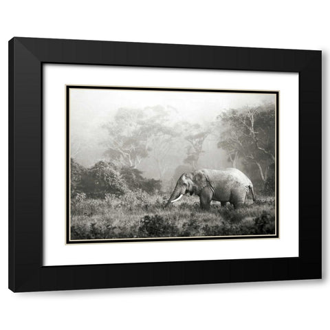 African elephant, Ngorongoro Crater, Tanzania Black Modern Wood Framed Art Print with Double Matting by Krahmer, Frank