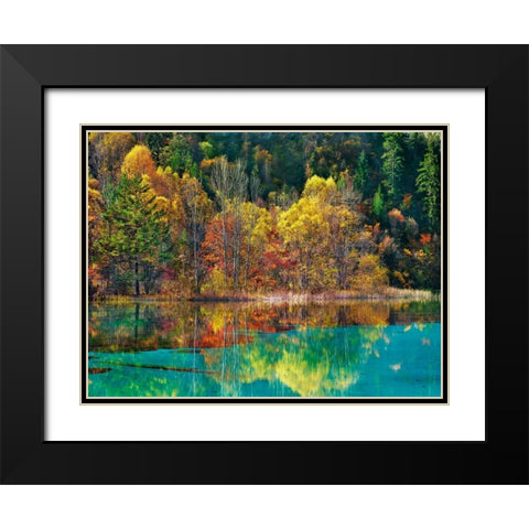 Forest in autumn colours, Sichuan, China Black Modern Wood Framed Art Print with Double Matting by Krahmer, Frank