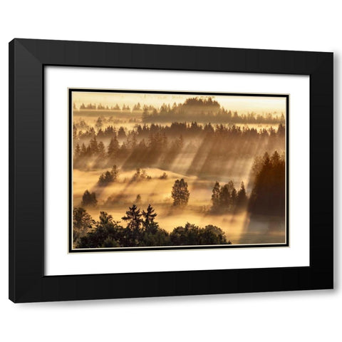 Fog impression at Sindelbachfilz, Bavaria, Germany Black Modern Wood Framed Art Print with Double Matting by Krahmer, Frank