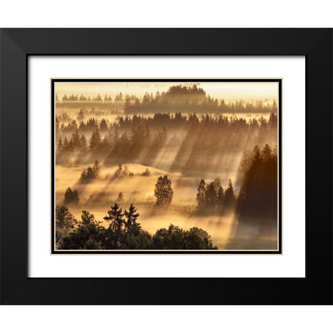 Fog impression at Sindelbachfilz, Bavaria, Germany Black Modern Wood Framed Art Print with Double Matting by Krahmer, Frank