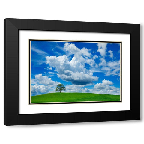 Oak and clouds, Bavaria, Germany Black Modern Wood Framed Art Print with Double Matting by Frank, Krahmer