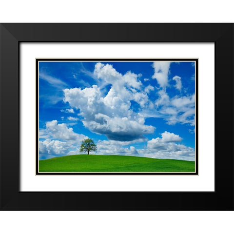 Oak and clouds, Bavaria, Germany Black Modern Wood Framed Art Print with Double Matting by Frank, Krahmer