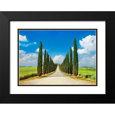 Cypress alley- San Quirico dOrcia- Tuscany Black Modern Wood Framed Art Print with Double Matting by Krahmer, Frank