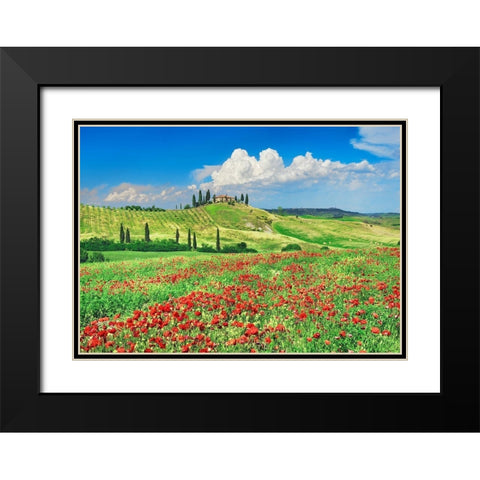Farmhouse with Cypresses and Poppies- Val dOrcia- Tuscany  Black Modern Wood Framed Art Print with Double Matting by Krahmer, Frank