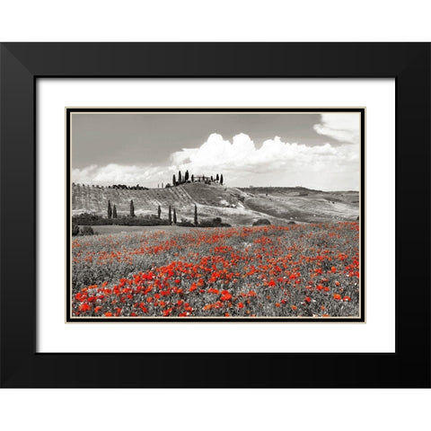 Farmhouse with Cypresses and Poppies- Val dOrcia- Tuscany (BW) Black Modern Wood Framed Art Print with Double Matting by Krahmer, Frank
