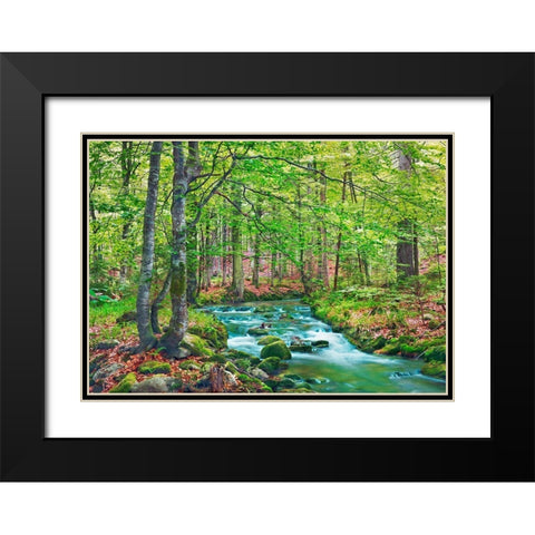 Forest brook through beech forest- Bavaria- Germany Black Modern Wood Framed Art Print with Double Matting by Krahmer, Frank