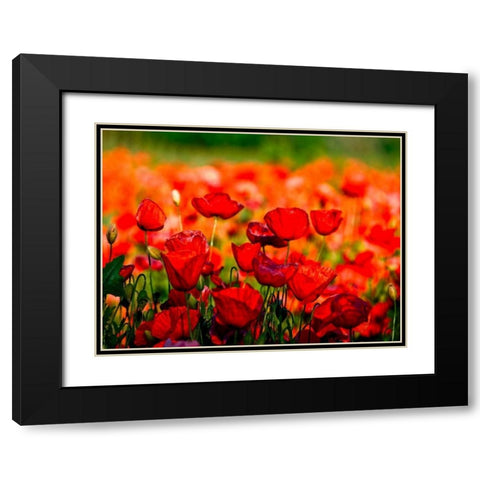 Dominante rossa Black Modern Wood Framed Art Print with Double Matting by Ferrua, Fulvio