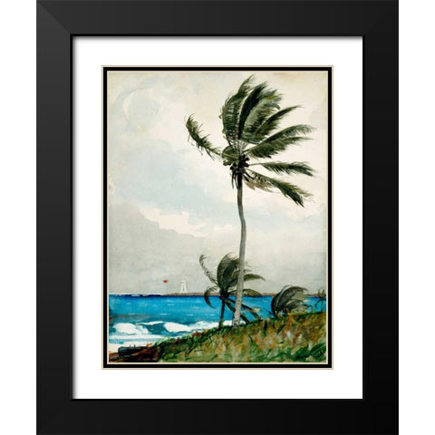 Palm Tree, Nassau Black Modern Wood Framed Art Print with Double Matting by Homer, Winslow