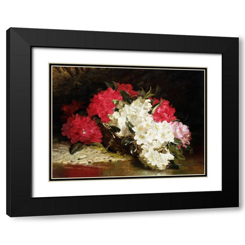 Azaleas Black Modern Wood Framed Art Print with Double Matting by Fitz Marshall, John