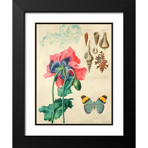 Cabinet of Curiosities n. 3 Black Modern Wood Framed Art Print with Double Matting by Joannoo