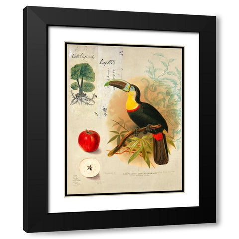 Cabinet of Curiosities n. 4 Black Modern Wood Framed Art Print with Double Matting by Joannoo