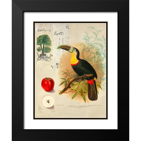 Cabinet of Curiosities n. 4 Black Modern Wood Framed Art Print with Double Matting by Joannoo