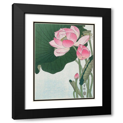 Blooming lotus flowers Black Modern Wood Framed Art Print with Double Matting by Koson, Ohara