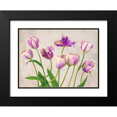 Tulipes Black Modern Wood Framed Art Print with Double Matting by Thomlinson, Jenny