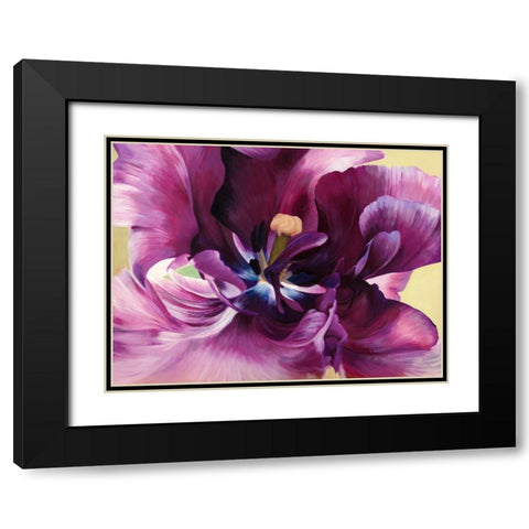 Purple tulip close-up Black Modern Wood Framed Art Print with Double Matting by Villa, Luca