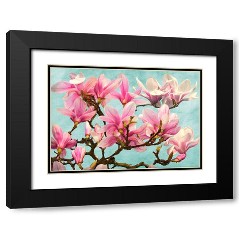 Magnolia Branch - turquoise Black Modern Wood Framed Art Print with Double Matting by Villa, Luca