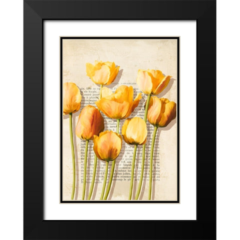 Tulipes et Histoires Black Modern Wood Framed Art Print with Double Matting by Villa, Luca