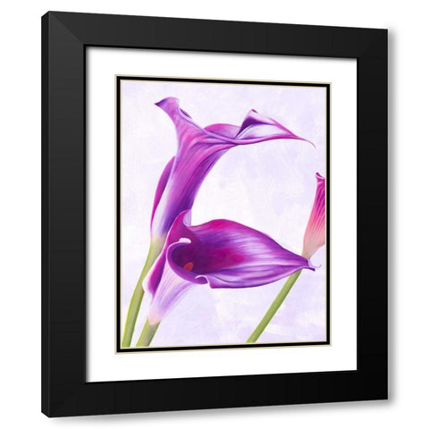 Duet I Black Modern Wood Framed Art Print with Double Matting by Villa, Luca